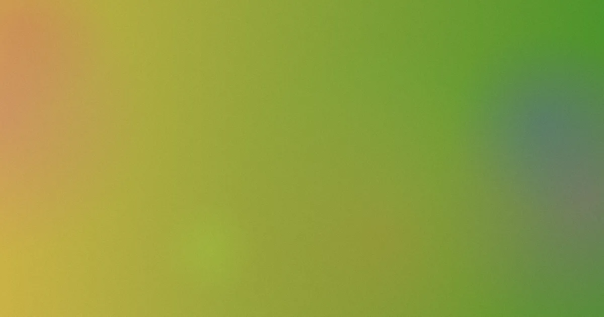 从你的全世界路过测评避坑问答